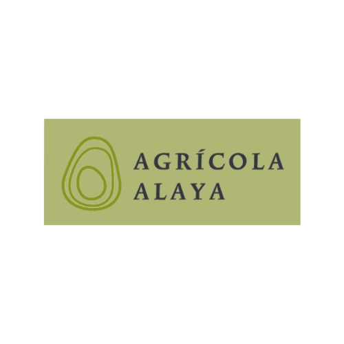Logos Nuevos (9)